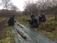 film osiériculture