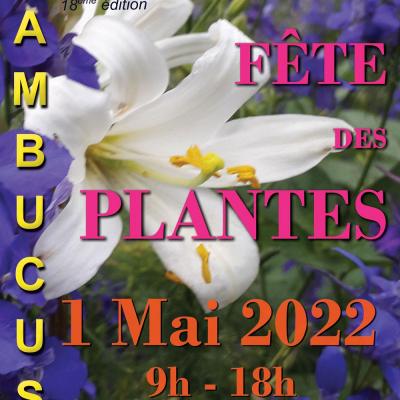 Affiche sambucus 2022