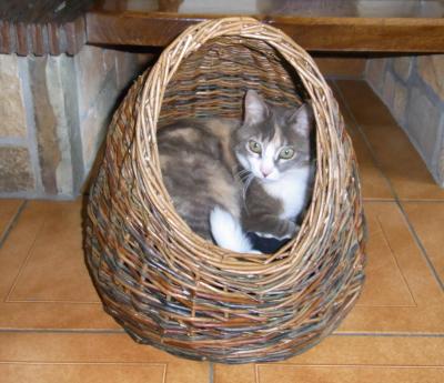 Panier A Chat En Osier Solide De Dordogne Panier A Chat En Osier Solide De Dordogne